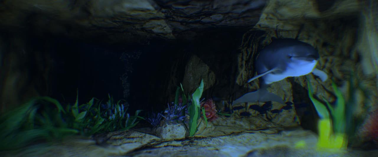 Iruka Iru Ka screenshot 2