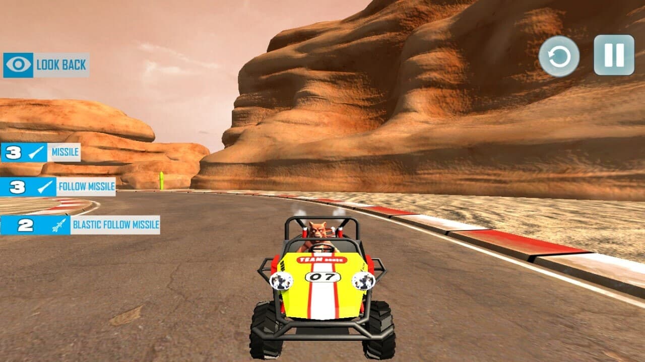 Karting with Animals screenshot 2