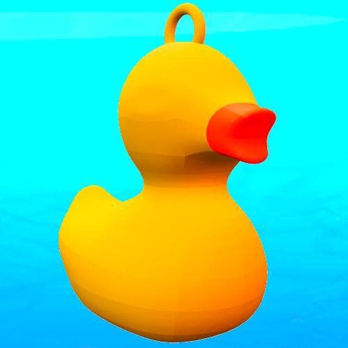 Kwak Kwak !