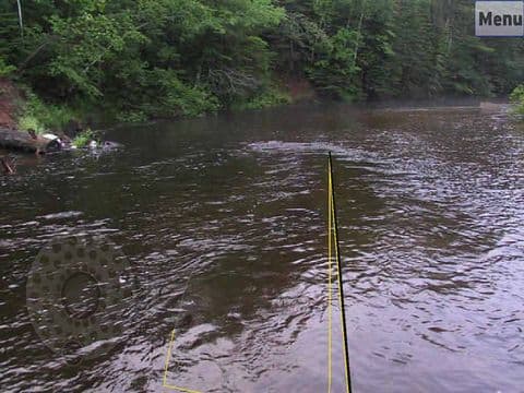 Fly Fishing Simulator