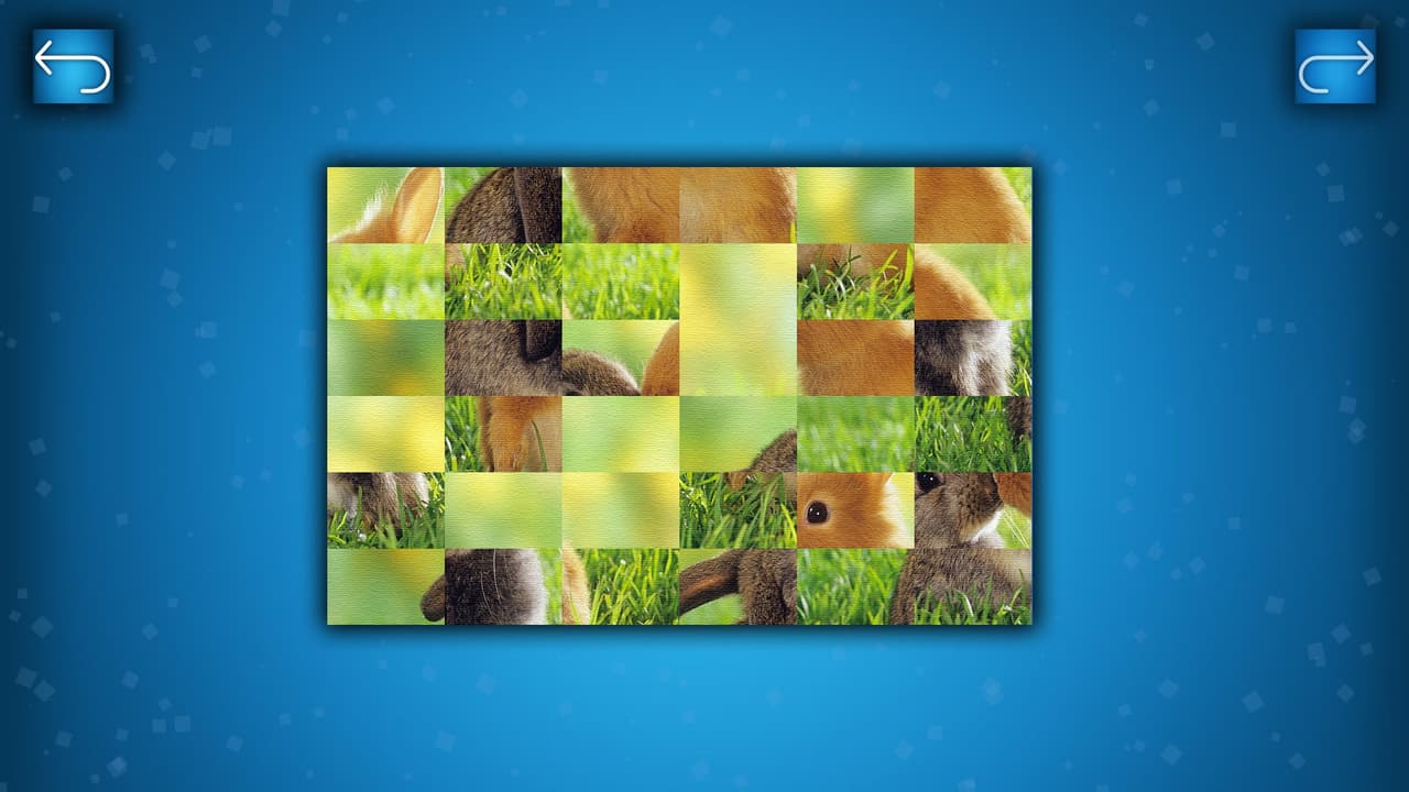 PUZZLE: ANIMALS screenshot 4