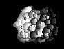Asteroid School