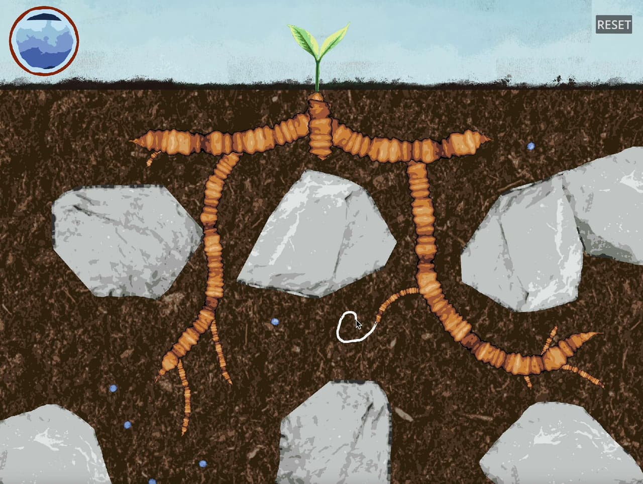 Bigroot