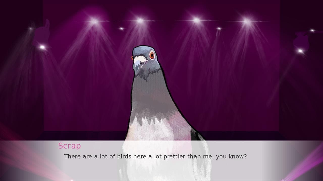 Bird of the Year screenshot 5