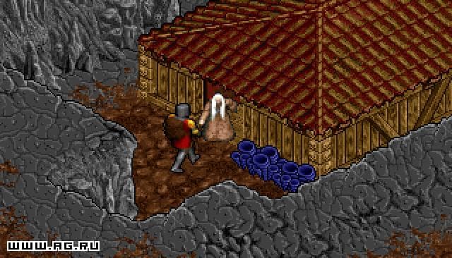 Ultima 8: The Lost Vale screenshot 6