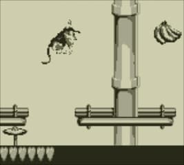 Donkey Kong Land