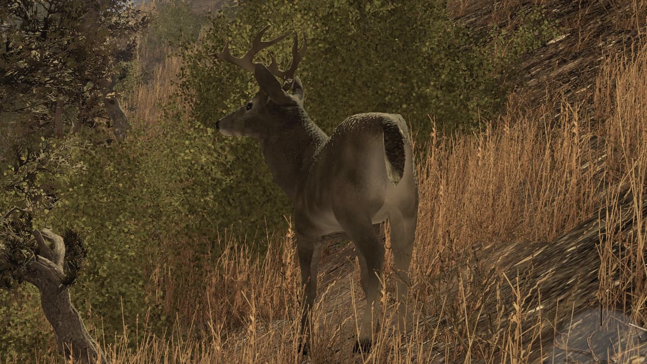Pro Deer Hunting