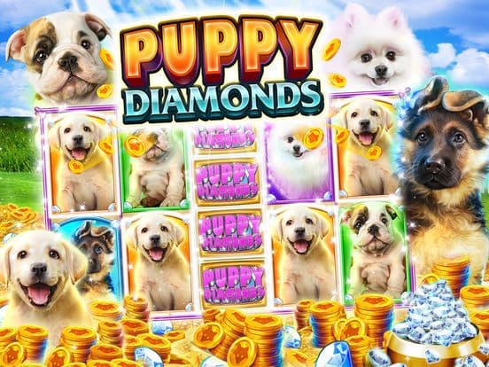 Magic Bonus Casino screenshot 4