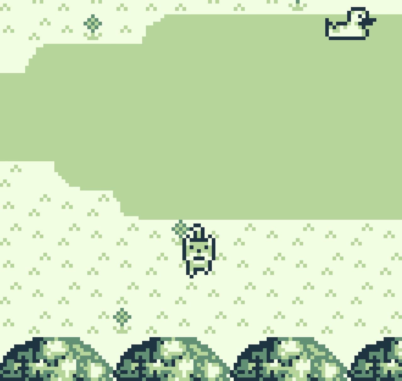 A Dogs Adventure