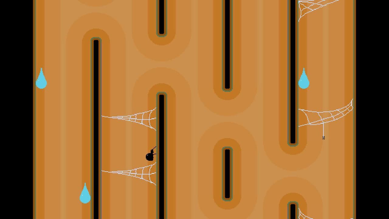 The Itsiest Bitsiest Spider