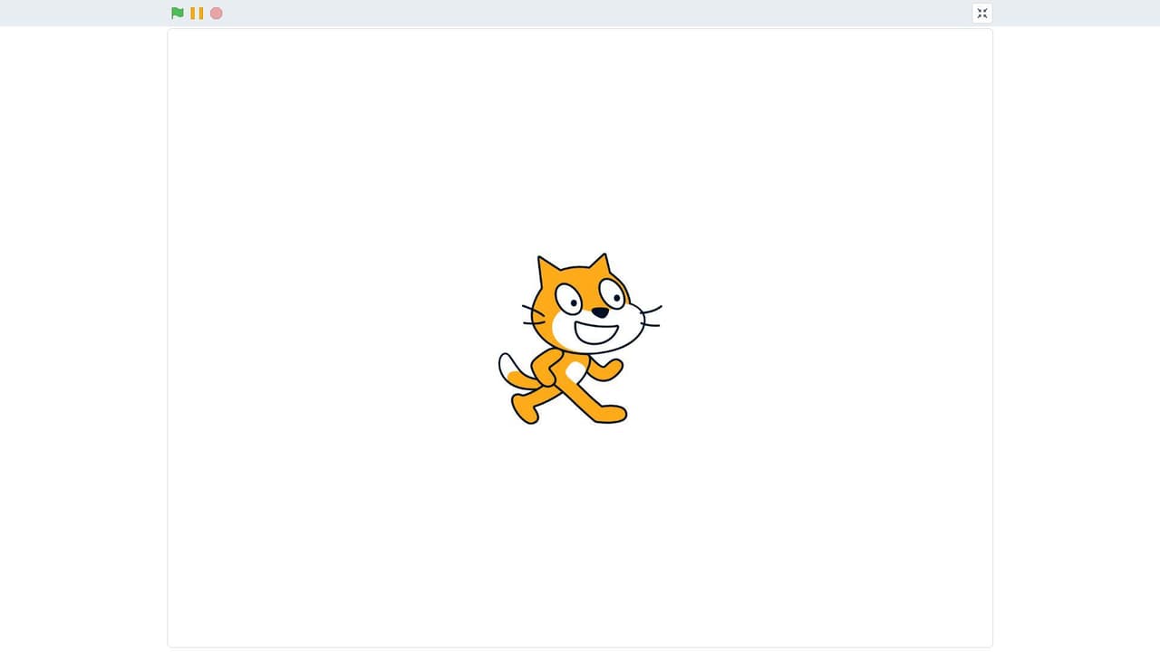 cool spinning cat