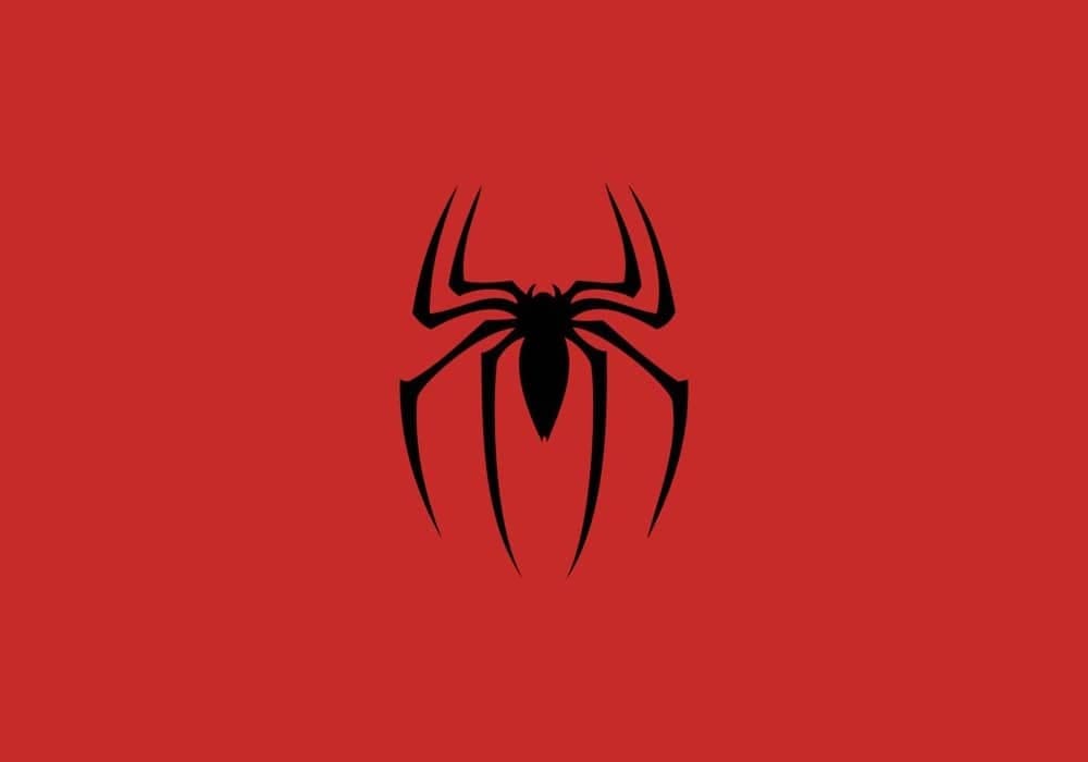Spider-Man FPP