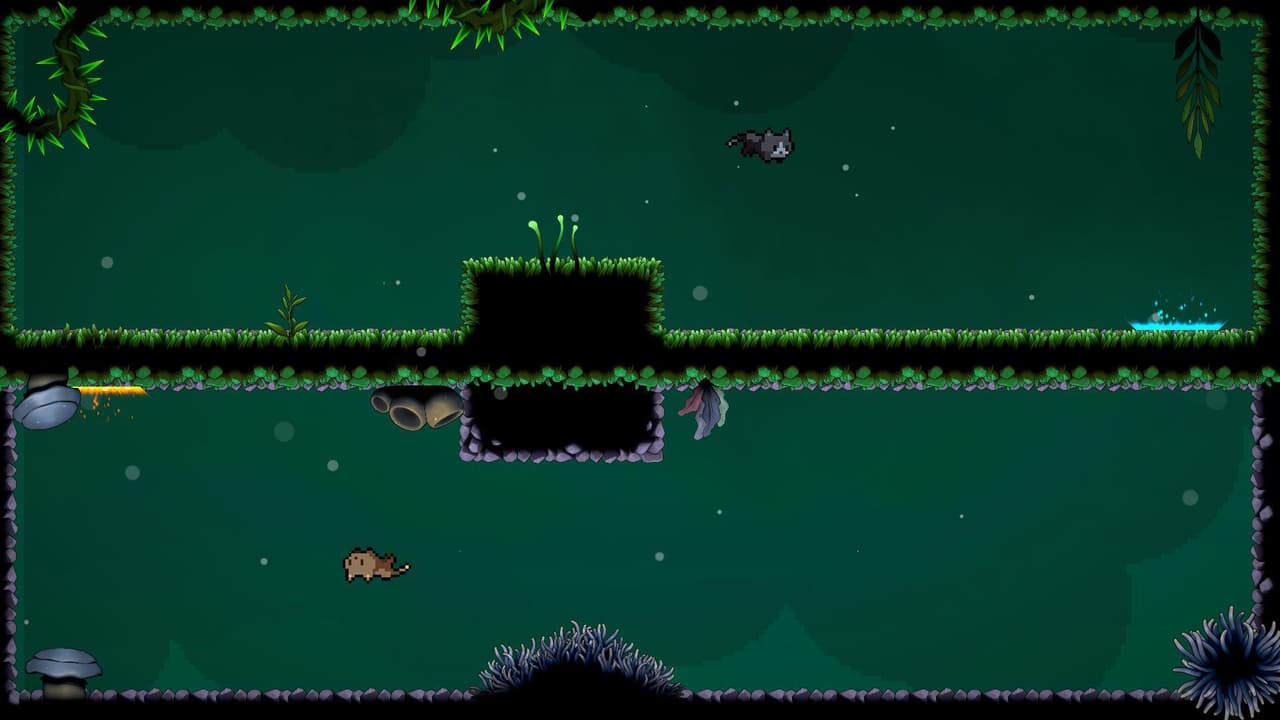Get Meowt of Here screenshot 2