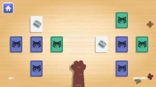 Cat-centration