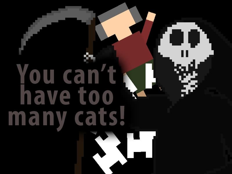You Cant Have Too Many Cats