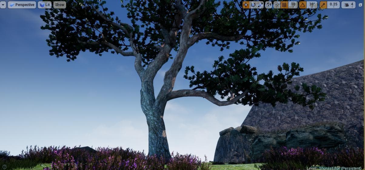 Shores Edge (Level)