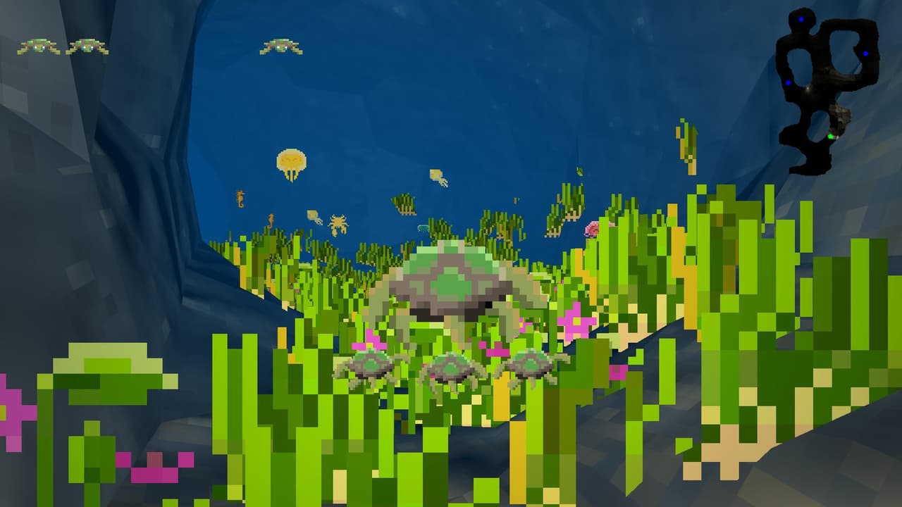 Sea Turtle Rescue