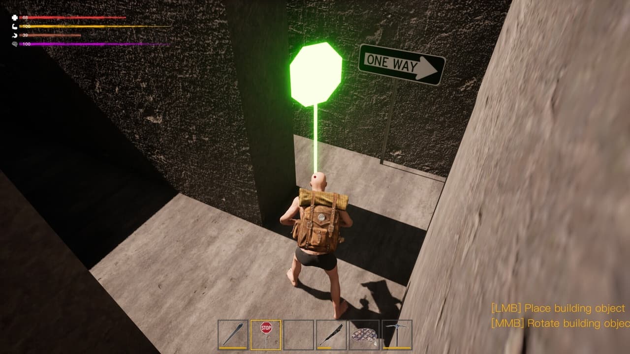 The Maze Survivor: First Entrants