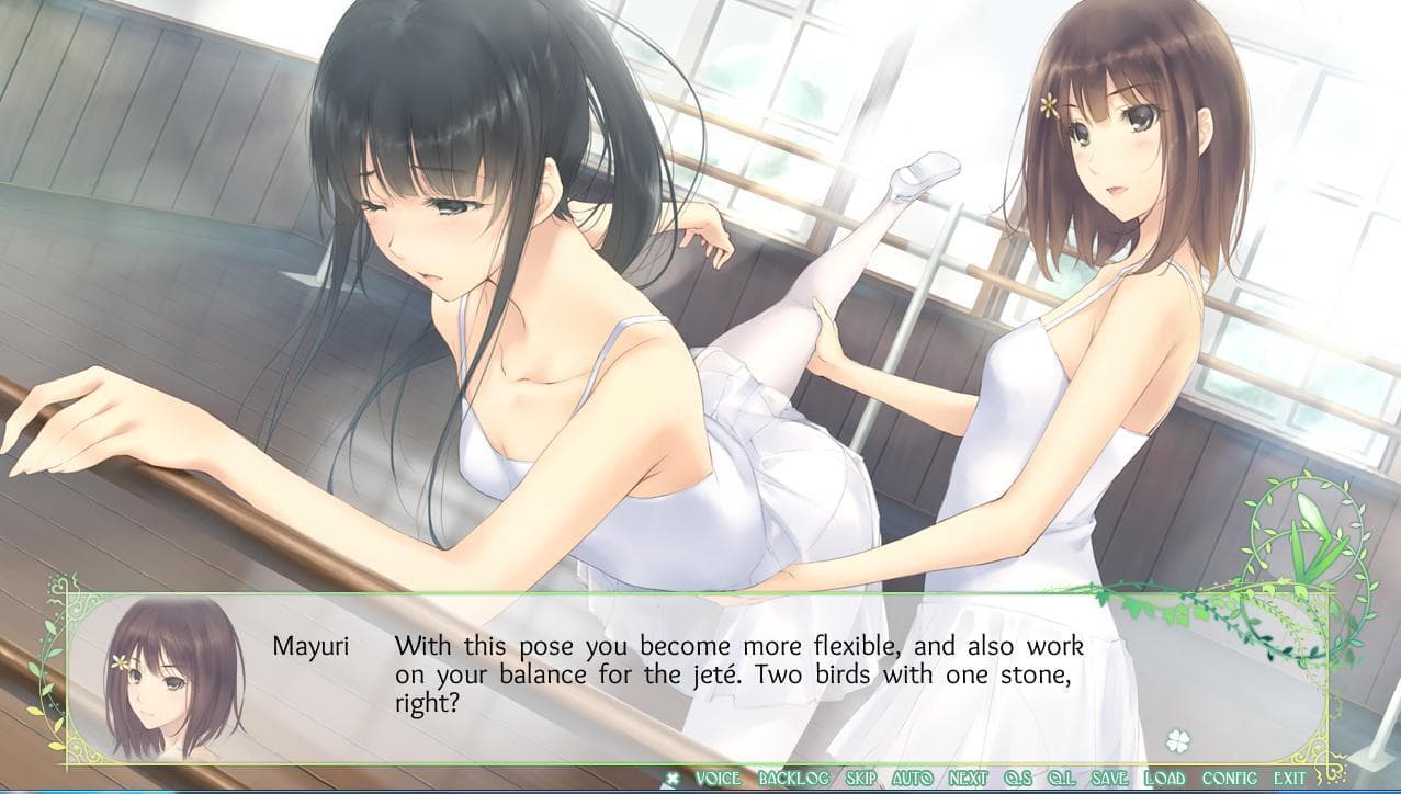 Flowers - Le Volume Sur Printemps screenshot 3