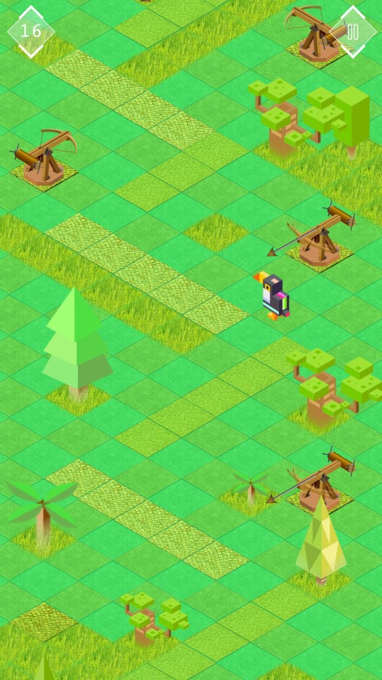 Toucan Hop