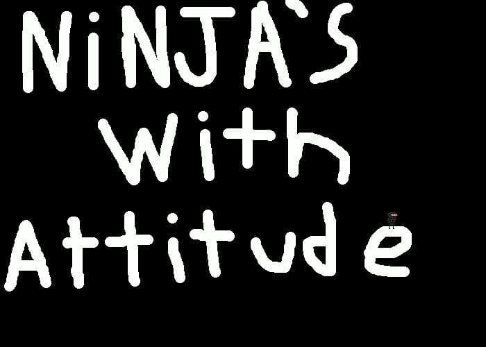 ninjas with attitude