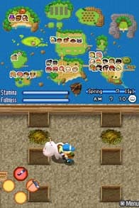Harvest Moon: Sunshine Islands screenshot 6