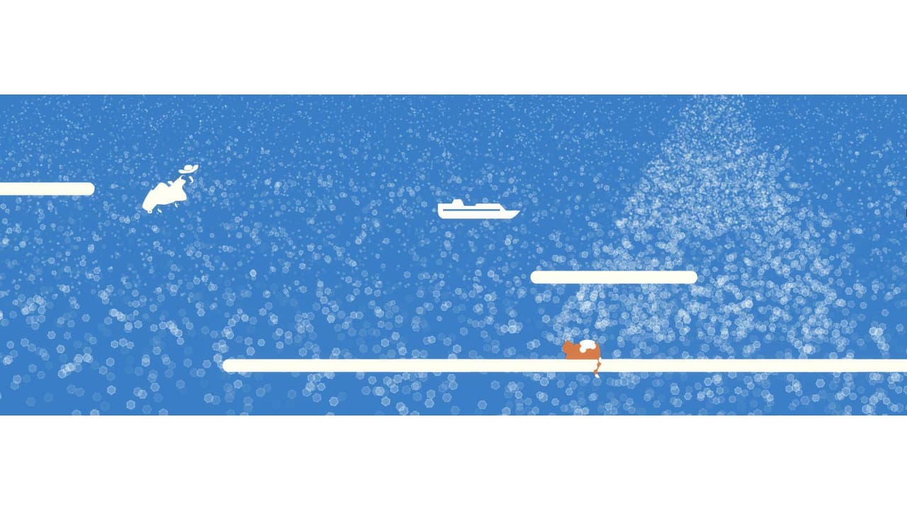 Last Minutes On Cat Island