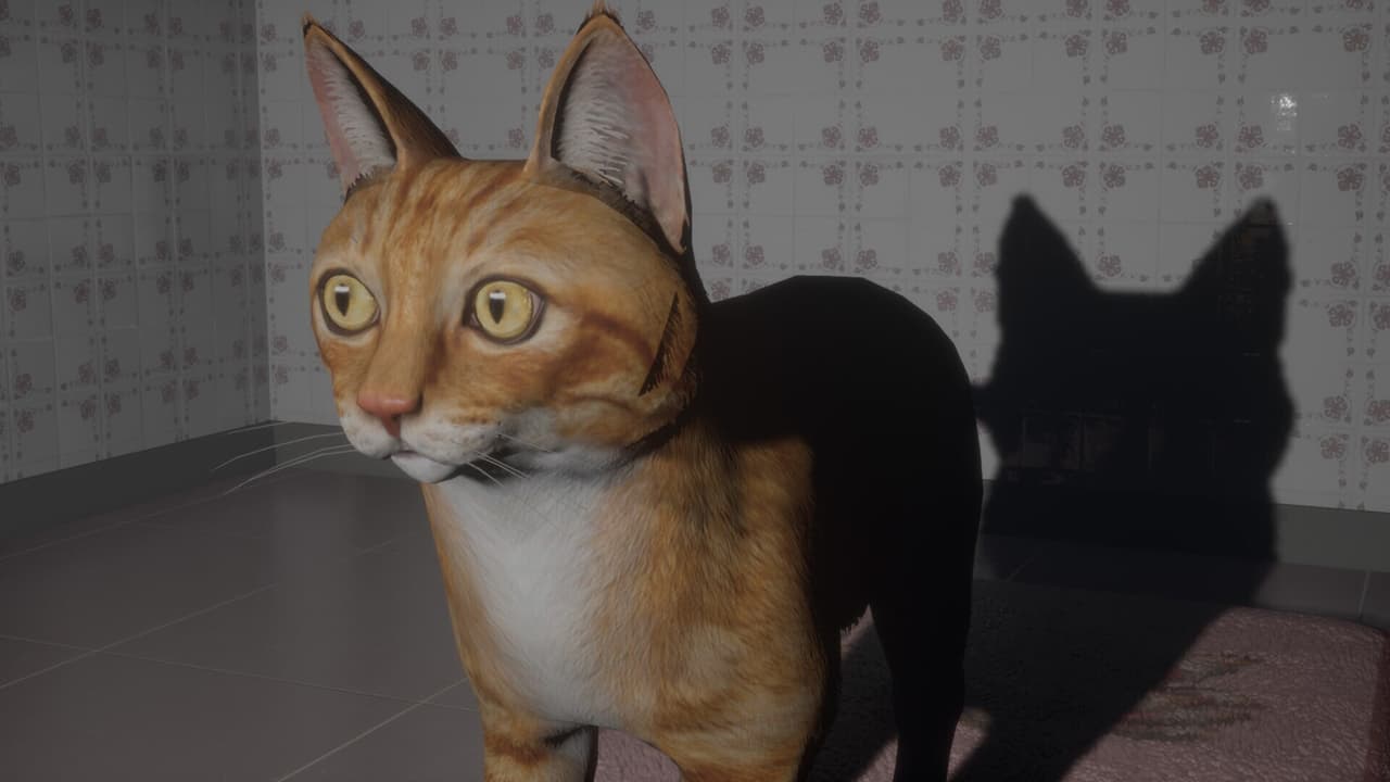 LUNAS EYES screenshot 5