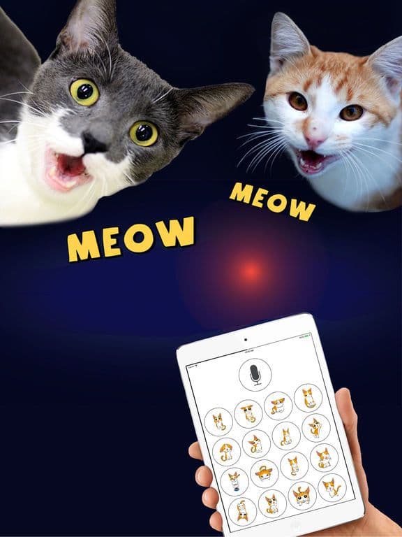 Cat Translator Deluxe screenshot 4