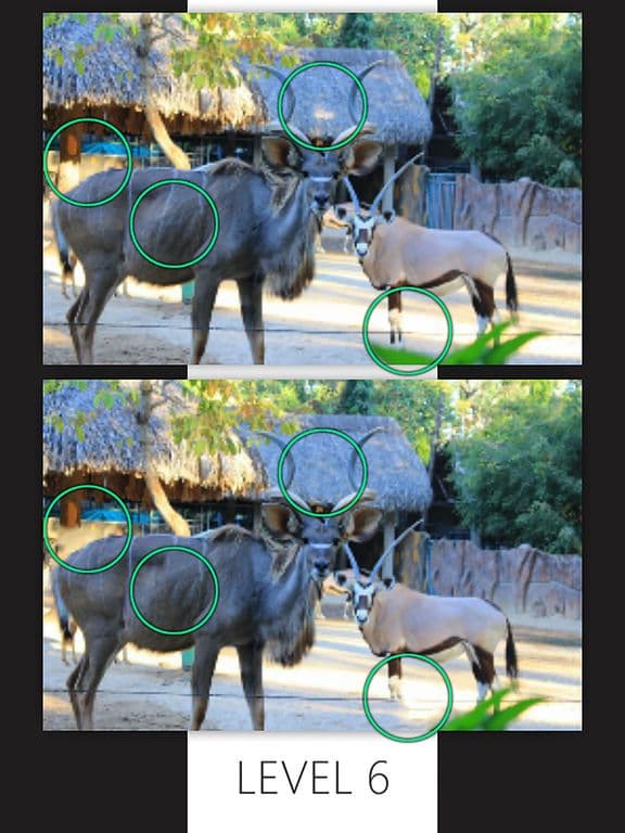 Find Differences Final screenshot 4