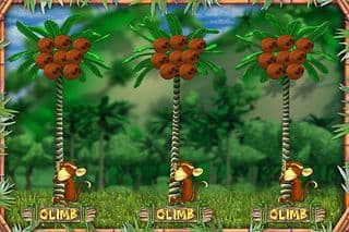 Monkey Money Slots screenshot 5