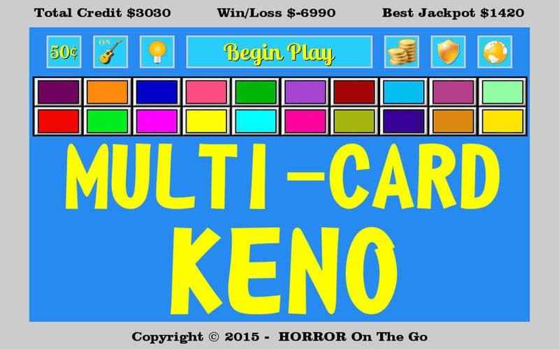 Multi Card Keno screenshot 5