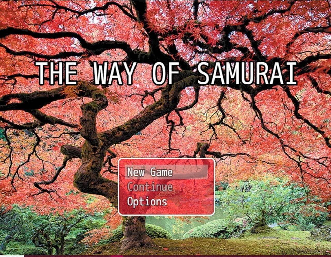 The way of samurai