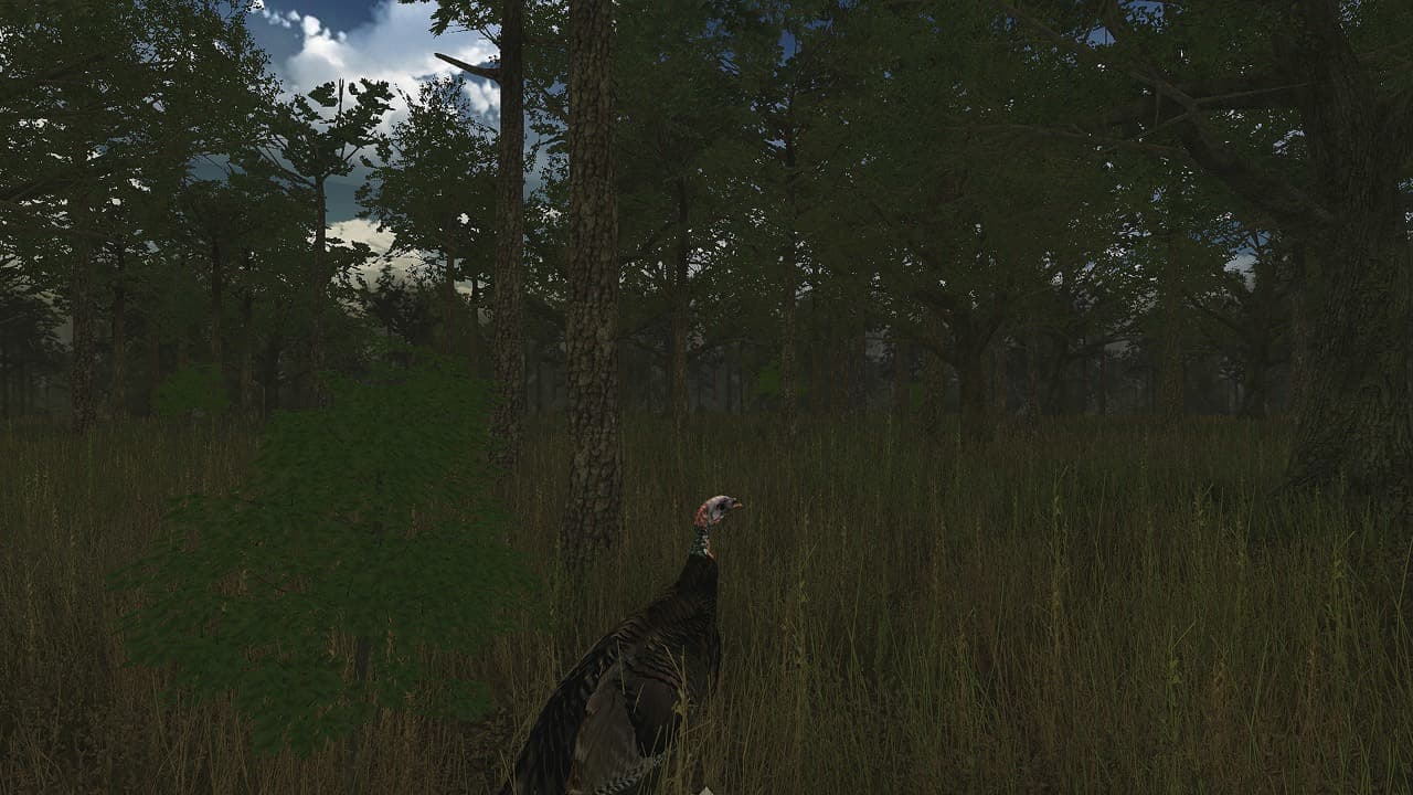 Wild Turkey Hunter VR screenshot 2