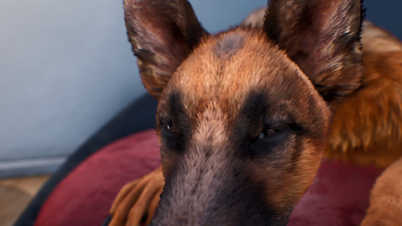Doggy Up! screenshot 2