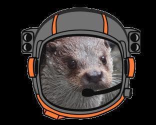 Otter Space Adventure