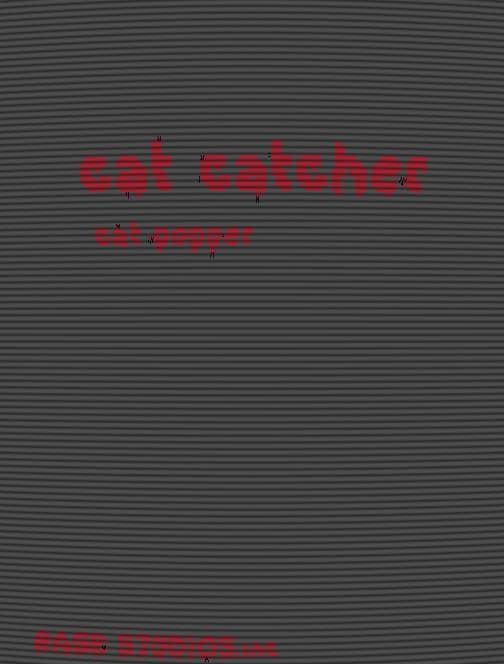 cat catcher (RAGE STUDIOS) screenshot 4