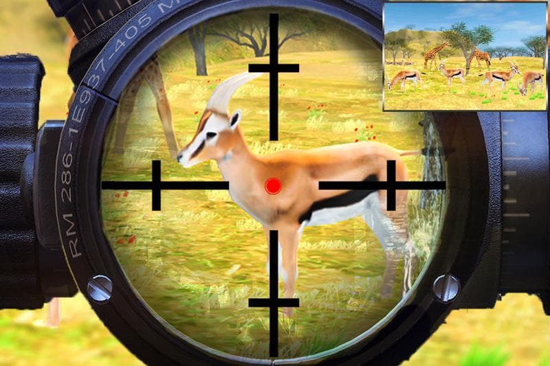 Wild Animals Hunter: Sniper Shooter screenshot 4