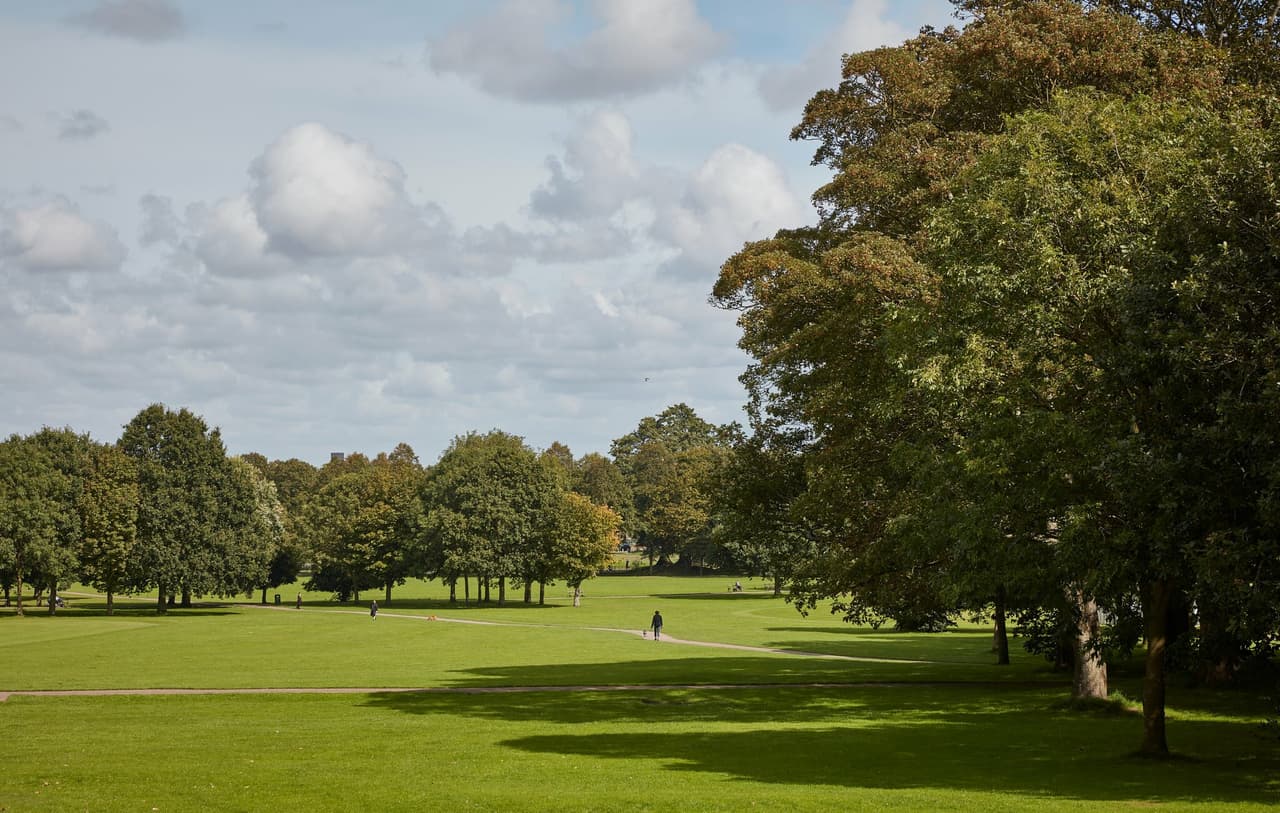 The Park (itch) (Stanley Lucas)