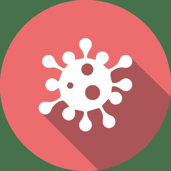 After The Virus