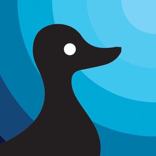 Super ConDuckTrain