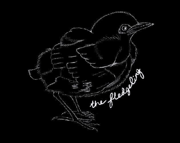 The Fledgeling