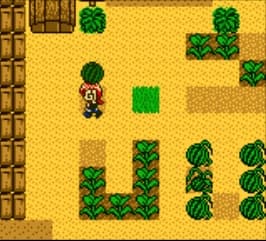 Harvest Moon 2 GBC (1999)