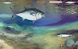Salmon a Tuna screenshot 3