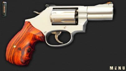 Pistol Guns & Ammo