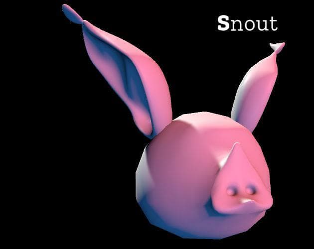 Snout Demo