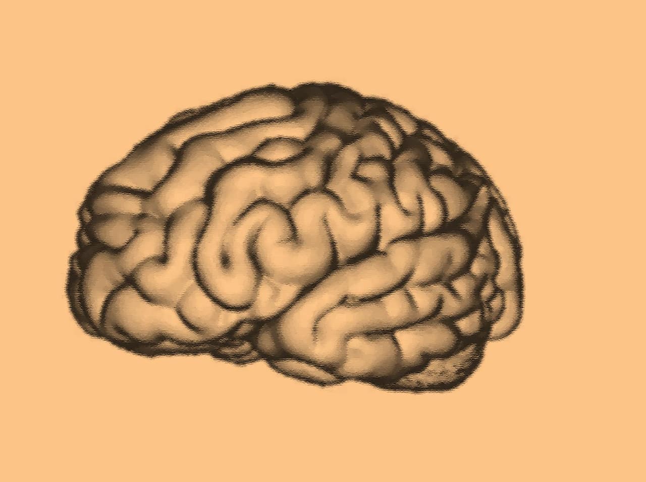 FREE Personality Test