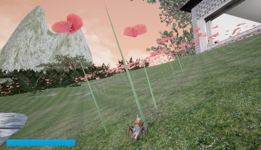 Insect Simulator