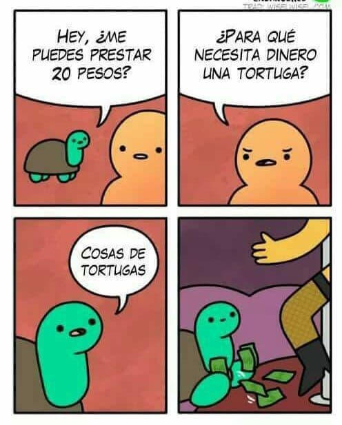 Cosas de Tortuga