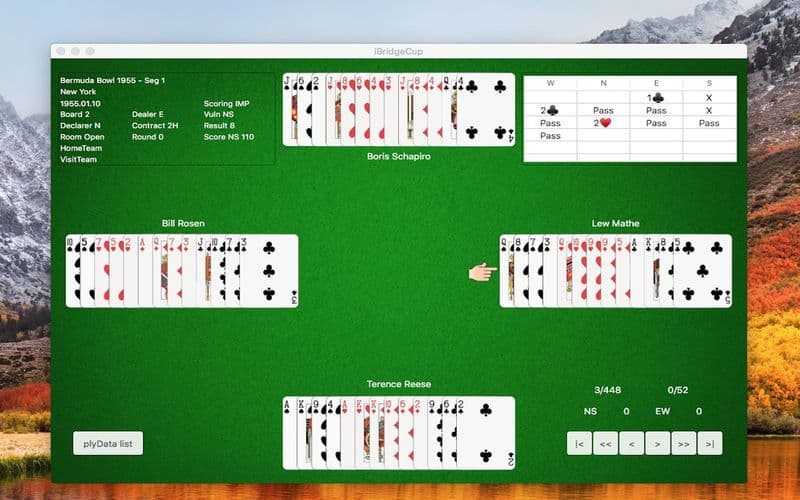 iBridgeCup screenshot 2